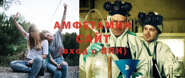 шишки Алзамай