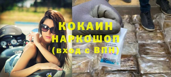 шишки Алзамай