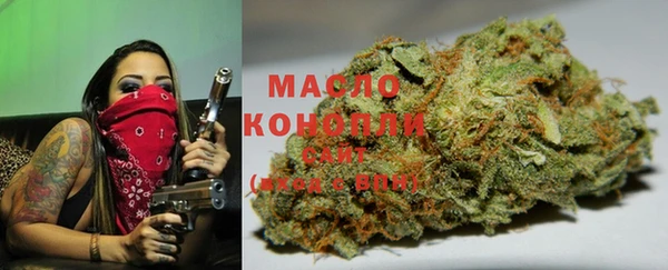 прущие грибы Инта