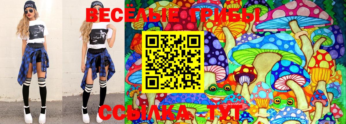 Чистополь  Псилоцибиновые грибы Psilocybe  продажа наркотиков  Галлюциногенные грибы MAGIC MUSHROOMS  Вход с VPN 